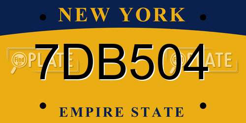 7DB504 New York License Plate