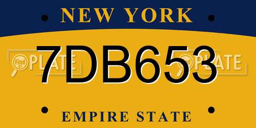 7DB653 New York License Plate