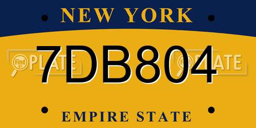7DB804 New York License Plate
