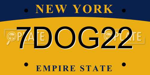 7DOG22 New York License Plate