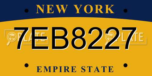 7EB8227 New York License Plate