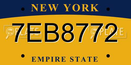 7EB8772 New York License Plate