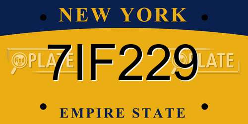 7IF229 New York License Plate