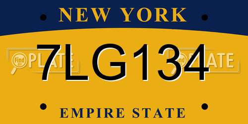 7LG134 New York License Plate