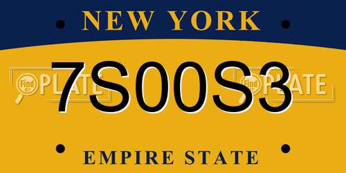 7S00S3 New York License Plate