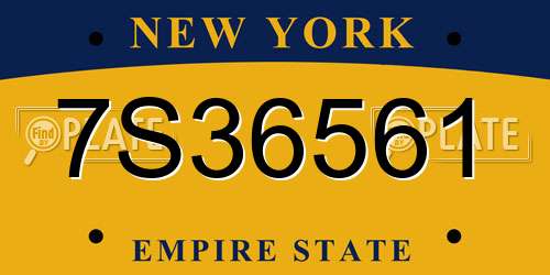 7S36561 New York License Plate