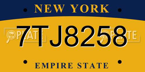 7TJ8258 New York License Plate
