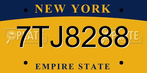 7TJ8288 New York License Plate