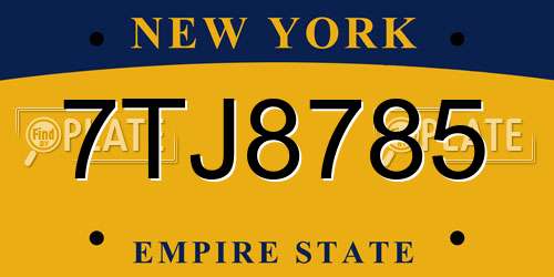 7TJ8785 New York License Plate