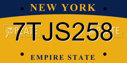 7TJS258 New York License Plate