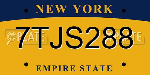 7TJS288 New York License Plate