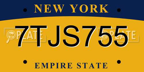 7TJS755 New York License Plate