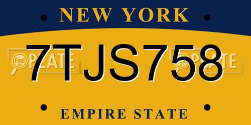 7TJS758 New York License Plate