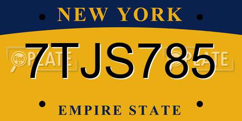 7TJS785 New York License Plate