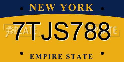 7TJS788 New York License Plate