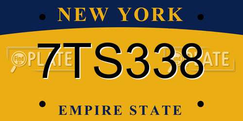 7TS338 New York License Plate