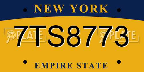 7TS8773 New York License Plate
