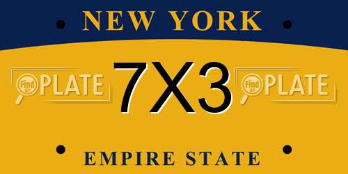 7X3 New York License Plate