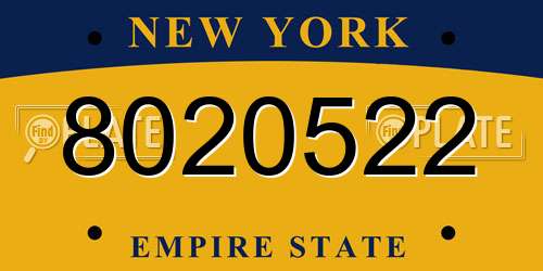 8020522 New York License Plate