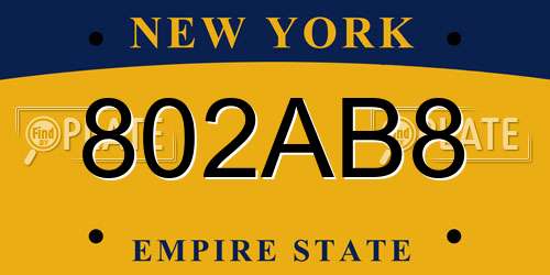 802AB8 New York License Plate