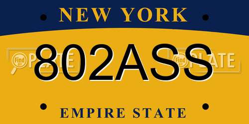 802ASS New York License Plate