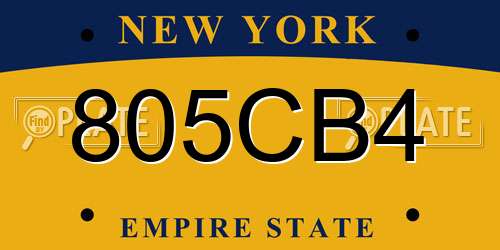 805CB4 New York License Plate