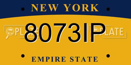 8073IP New York License Plate