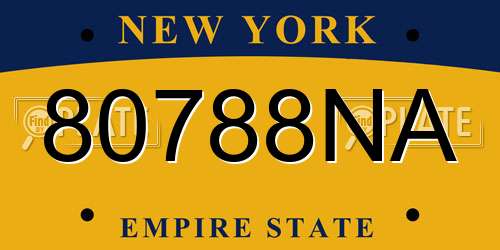 80788NA New York License Plate