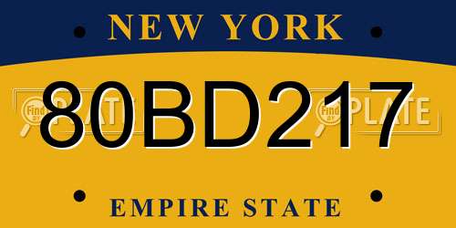 80BD217 New York License Plate