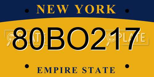 80BO217 New York License Plate