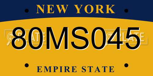 80MS045 New York License Plate