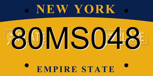 80MS048 New York License Plate