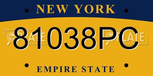 81038PC New York License Plate