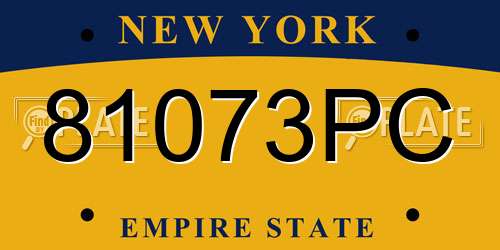 81073PC New York License Plate