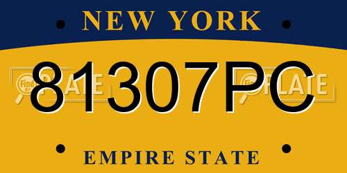81307PC New York License Plate