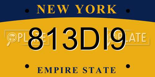 813DI9 New York License Plate