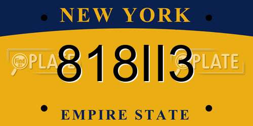 818II3 New York License Plate