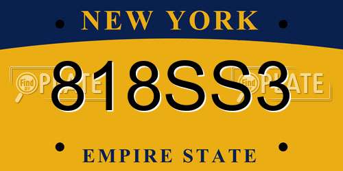 818SS3 New York License Plate