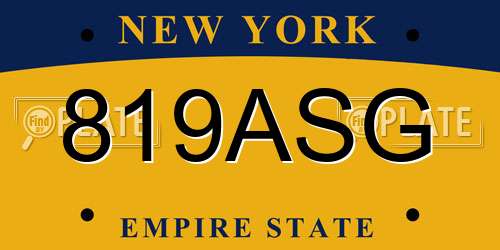 819ASG New York License Plate