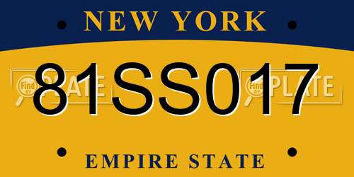 81SS017 New York License Plate