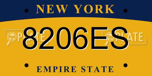 8206ES New York License Plate