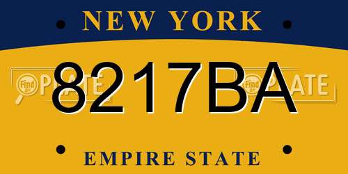 8217BA New York License Plate