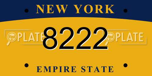 8222 New York License Plate