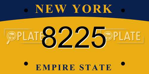 8225 New York License Plate