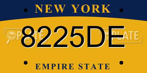8225DE New York License Plate