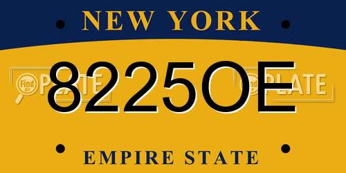 8225OE New York License Plate
