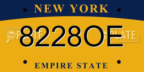 8228OE New York License Plate