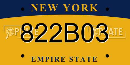 822B03 New York License Plate