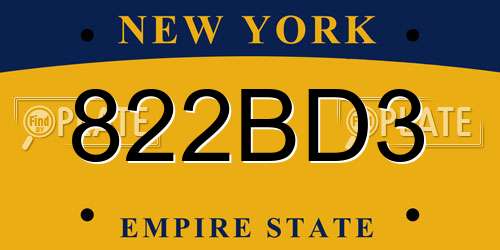 822BD3 New York License Plate