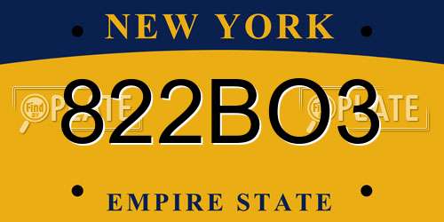 822BO3 New York License Plate
